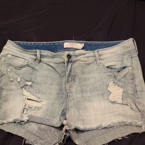 Torrid Denim Light Blue Shorts